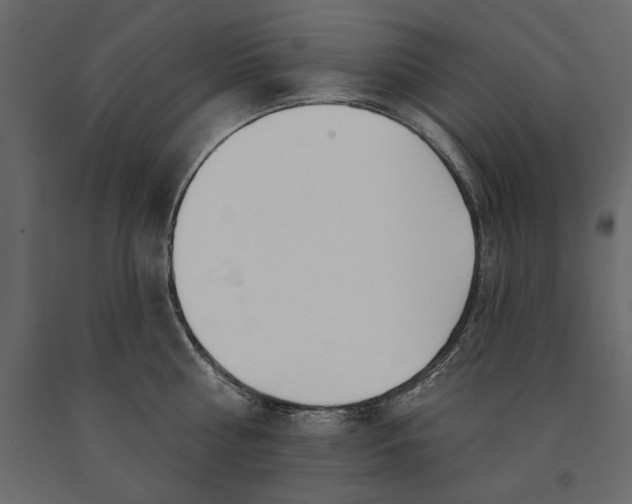 X0000091070810200708271215