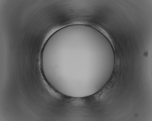 X0000091070811200708271215