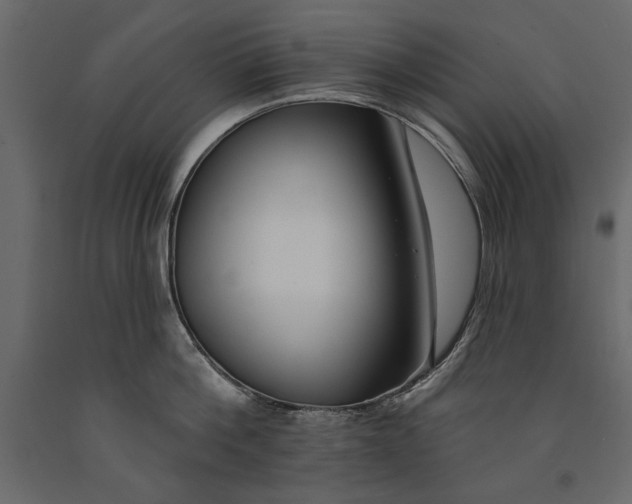 X0000091070812200708271215