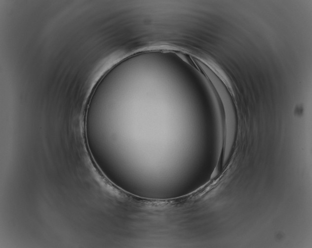 X0000091070813200708271215