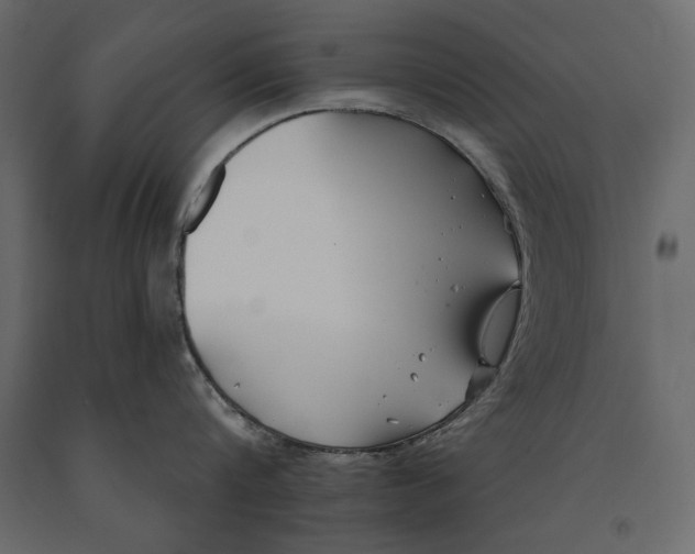 X0000091070816200708271215
