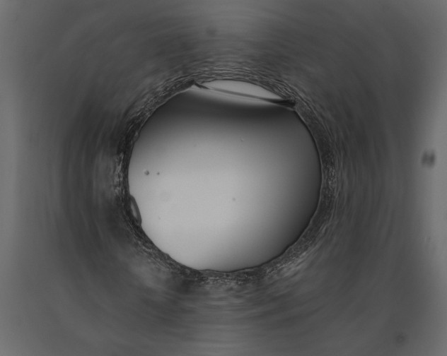 X0000091070818200708271214