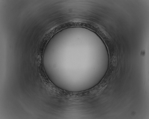 X0000091070821200708271214