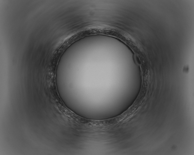 X0000091070822200708271214