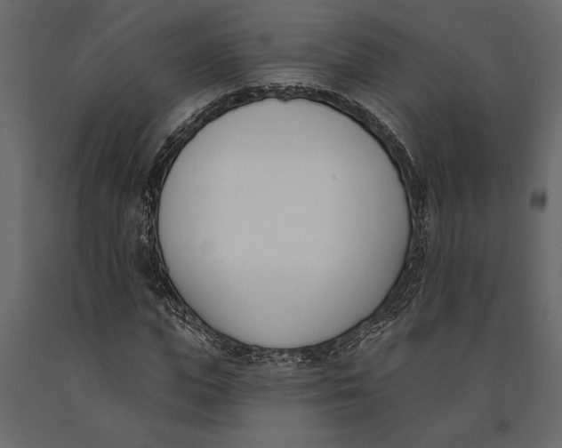 X0000091070823200708271214