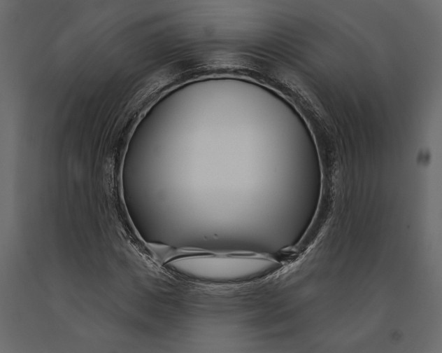 X0000091070825200708271214
