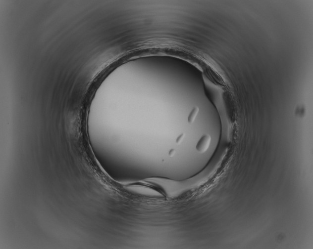 X0000091070826200708271214