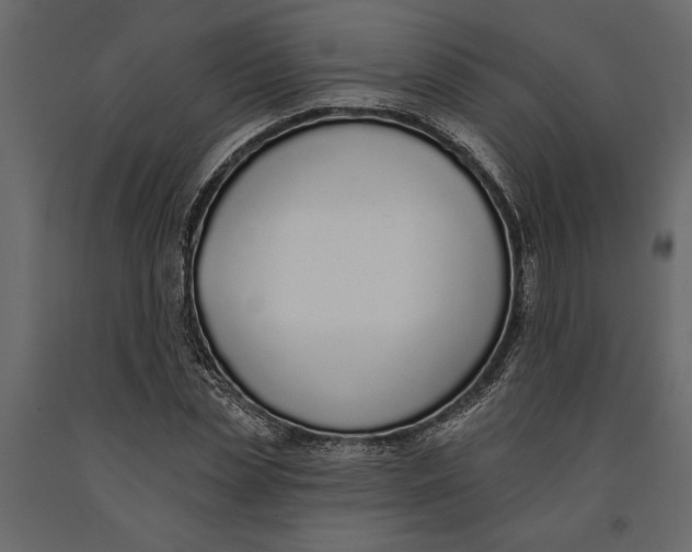 X0000091070829200708271214