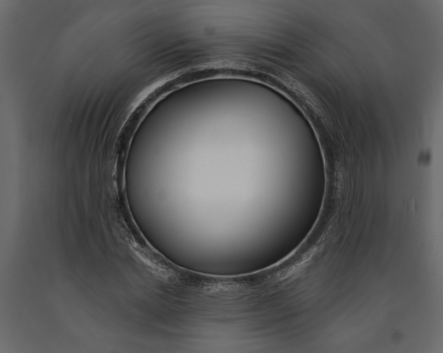 X0000091070830200708271214