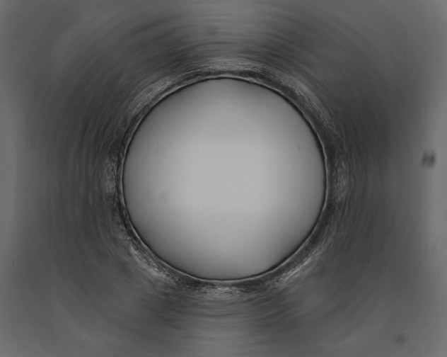 X0000091070833200708271214