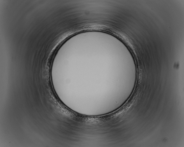 X0000091070835200708271214