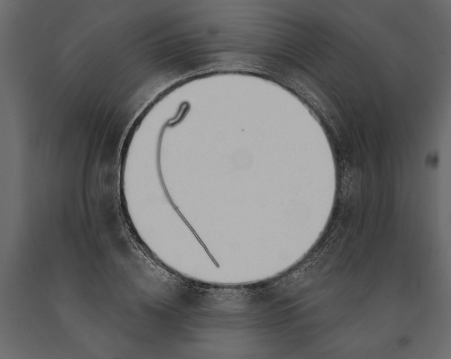 X0000091070836200708271214