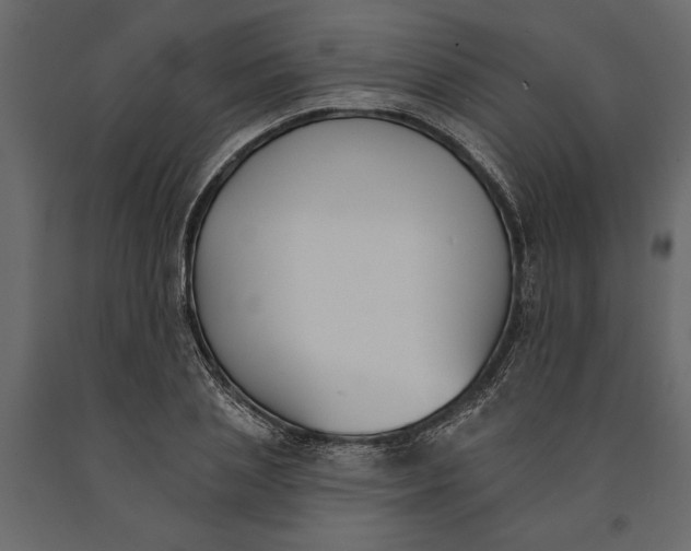 X0000091070837200708271214