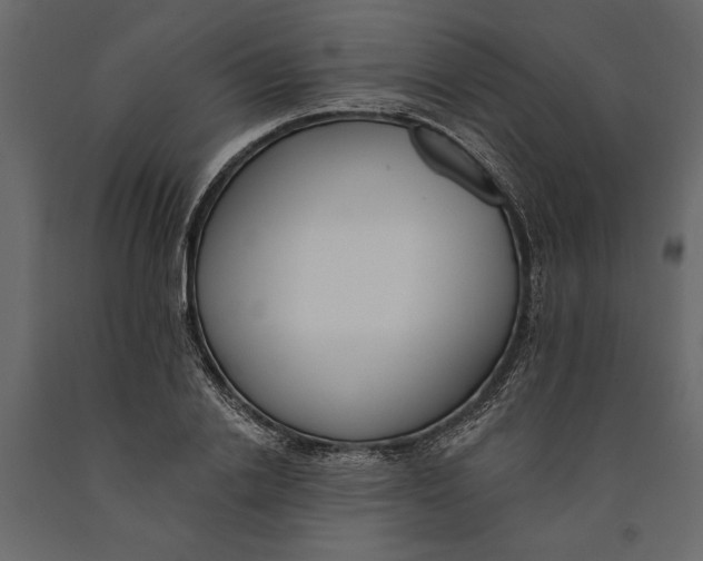 X0000091070838200708271214