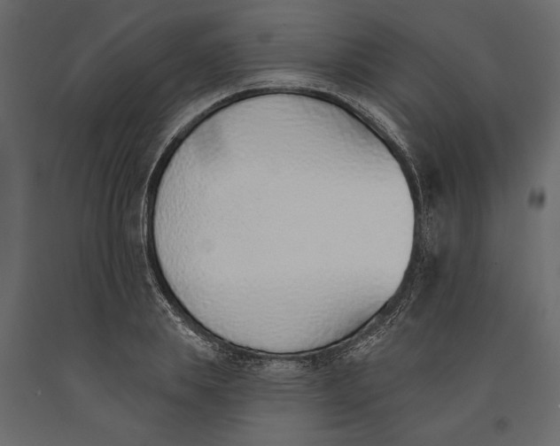 X0000091070839200708271214