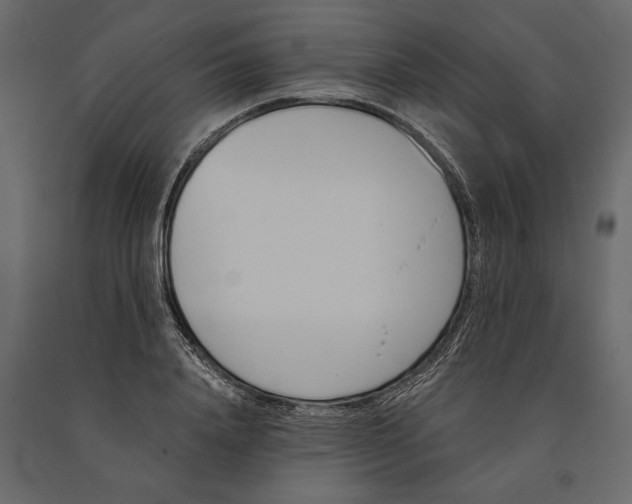 X0000091070840200708271214