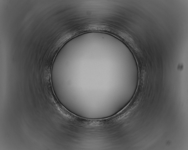 X0000091070841200708271214