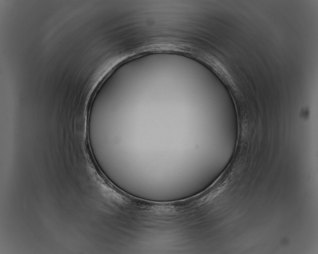 X0000091070844200708271214