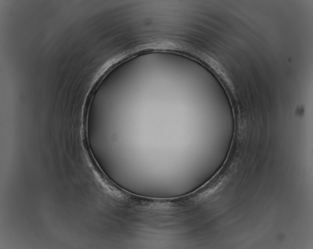 X0000091070845200708271214