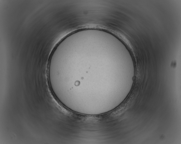 X0000091070847200708271214