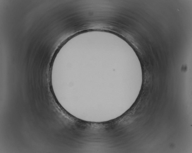 X0000091070848200708271214