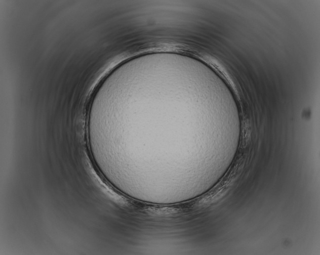 X0000091070851200708271214