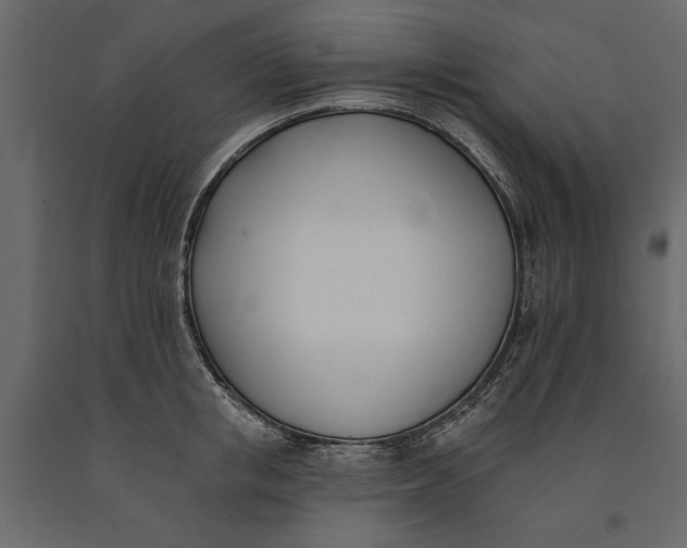 X0000091070853200708271214