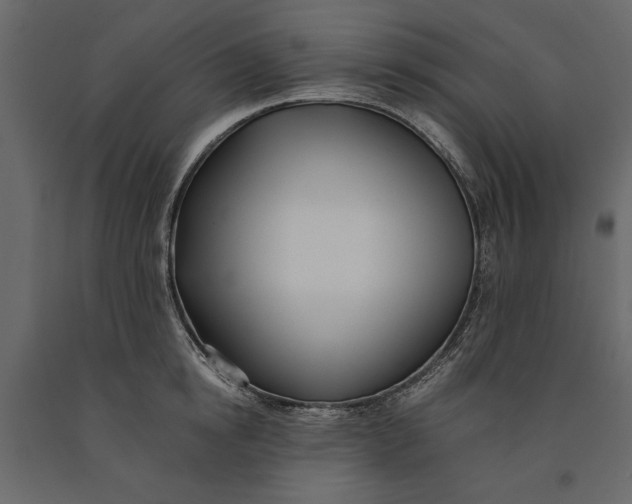 X0000091070854200708271214