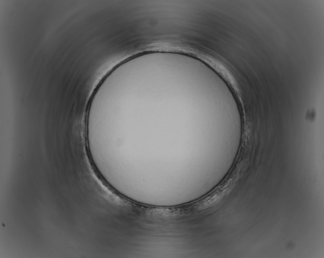 X0000091070855200708271214