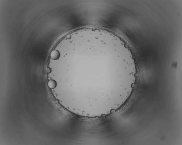 X0000091070856200708271215