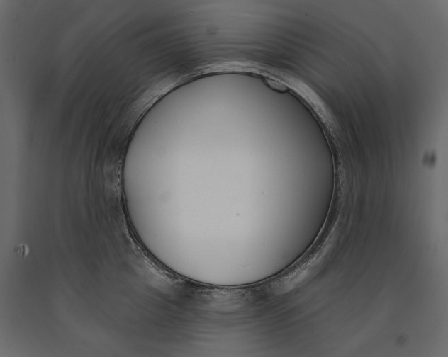 X0000091070857200708271215