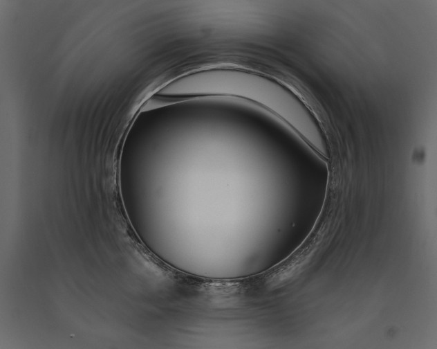X0000091070858200708271215