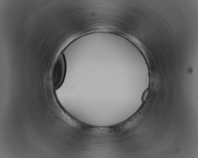 X0000091070859200708271215
