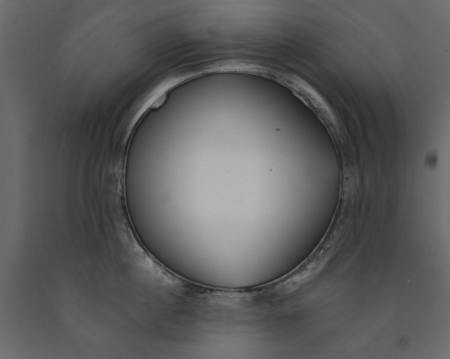 X0000091070860200708271215