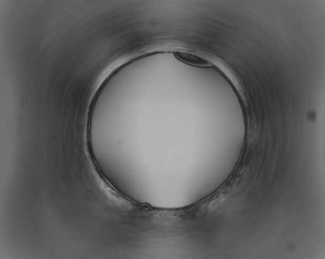 X0000091070861200708271215