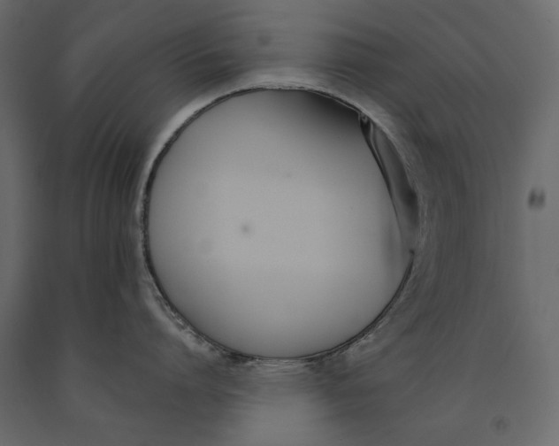 X0000091070864200708271215