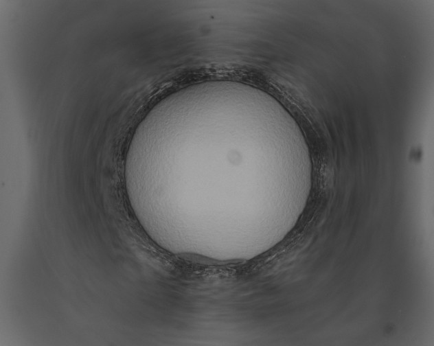 X0000091070865200708271214