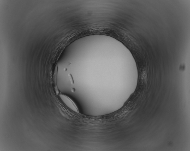 X0000091070868200708271214