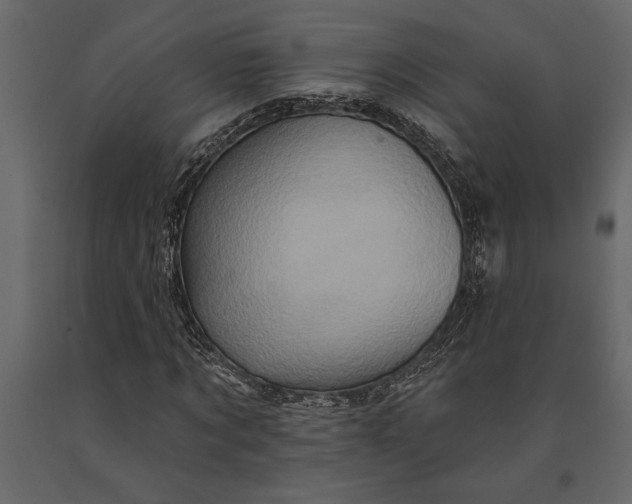 X0000091070869200708271214