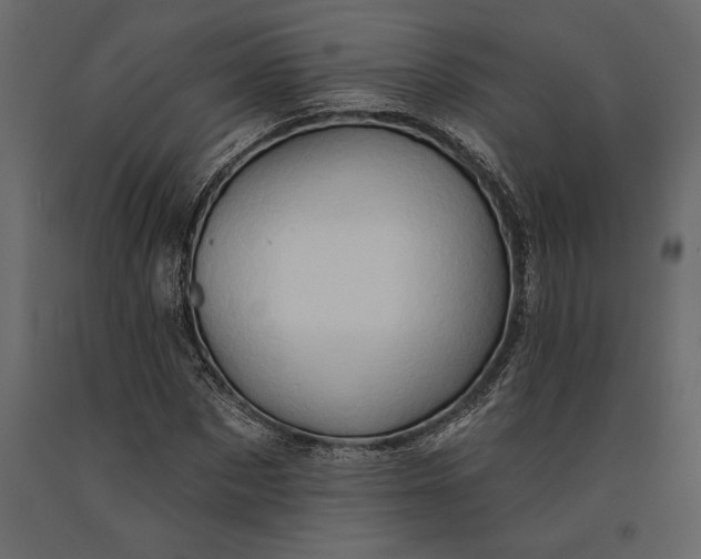 X0000091070873200708271214