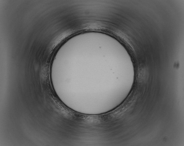 X0000091070874200708271214