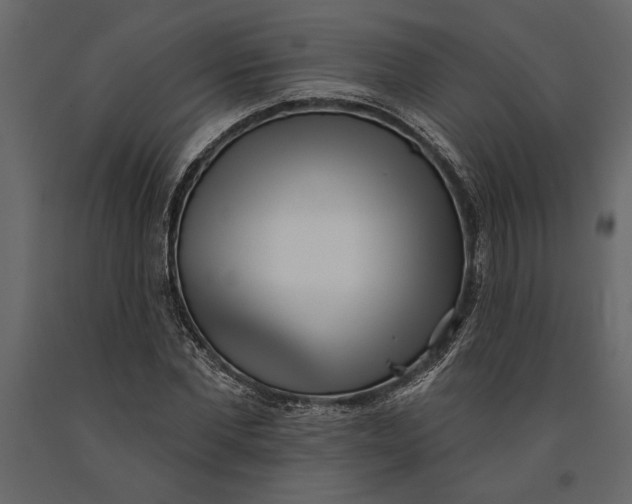 X0000091070877200708271214