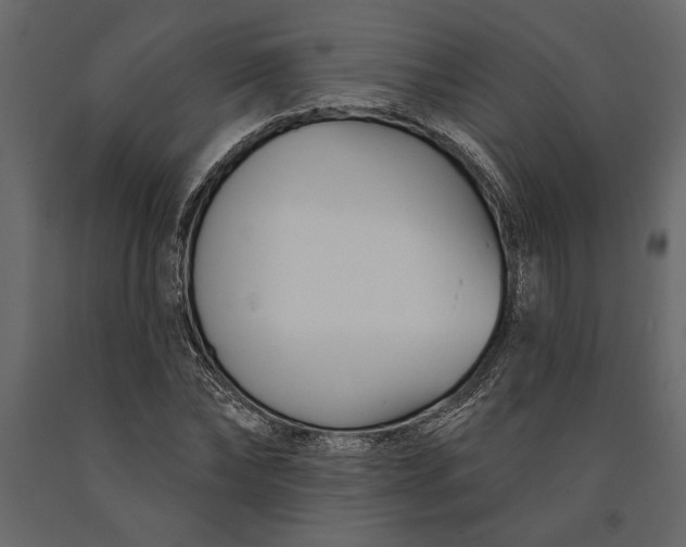 X0000091070878200708271214