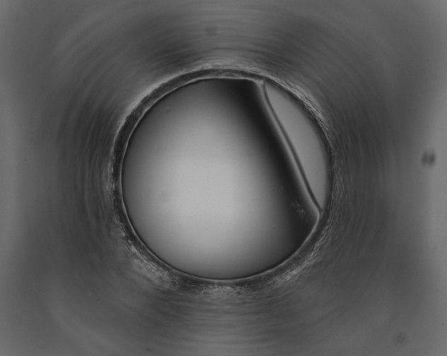 X0000091070880200708271214