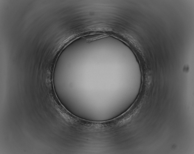 X0000091070881200708271214