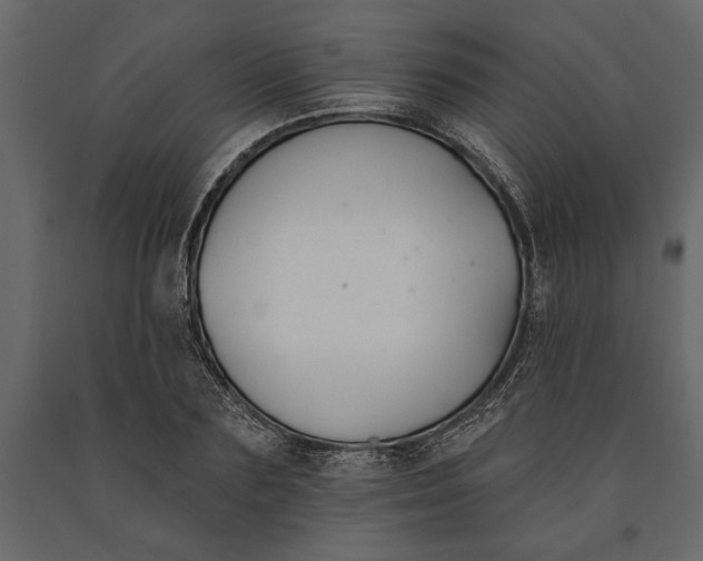 X0000091070883200708271214