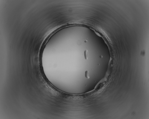 X0000091070884200708271214