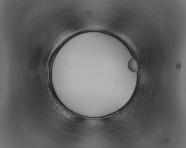 X0000091070886200708271214