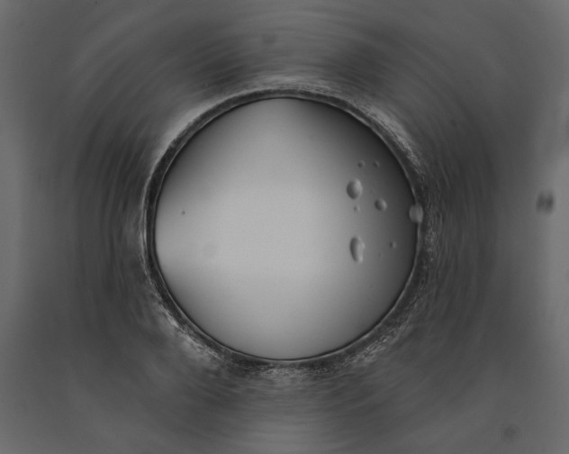 X0000091070888200708271214