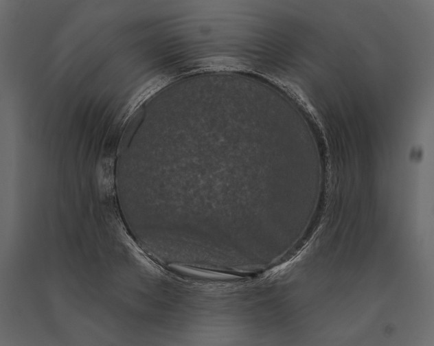 X0000091070889200708271214